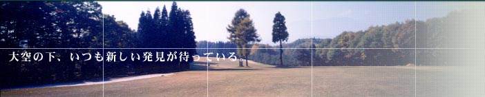 ̉AV҂ĂB